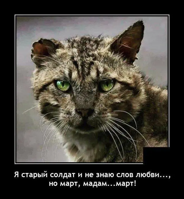 IMG-ad2b650b44d253e7a54327a4032deaa7-V.webp