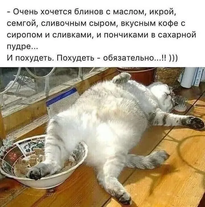 IMG-ad6129ea9cf1cd8e9b342b84025072f7-V.webp