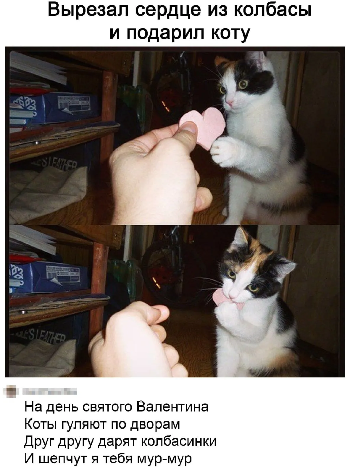 IMG-adc148866c3fb95f1a0ca1d4de2cd235-V.webp