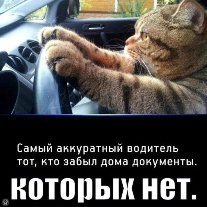 IMG-ade039e3f926c7bcae4a099ed764905c-V.webp