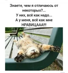 IMG-ae02768fb2a69b74dae559c8ee66fc99-V.webp