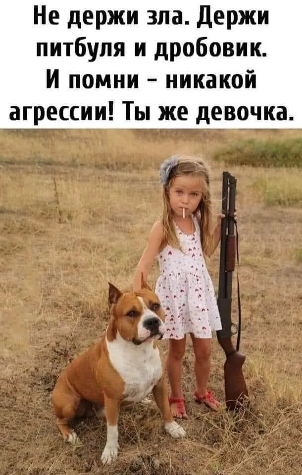 IMG-aed0f1f1722b8eb0191a7cdc1932ce33-V.webp