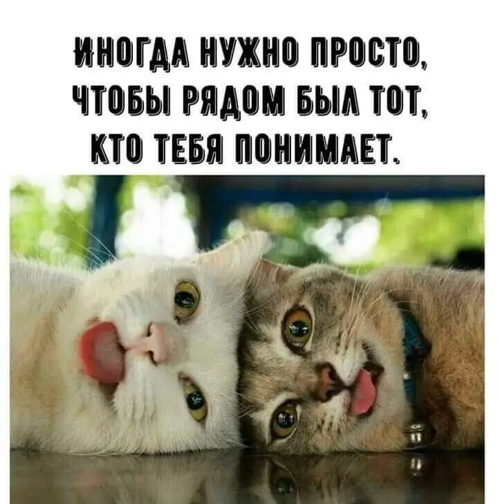 IMG-af089f40d308b402cac1285f41c2de2f-V.webp