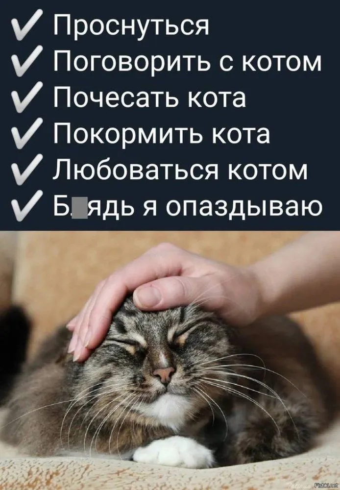 IMG-af3cdf721854c2676bd843e7abc3ac6f-V.webp
