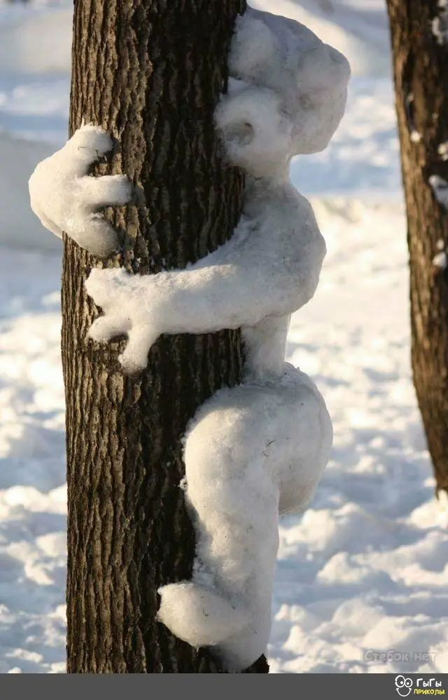 IMG-af9db6e8faa4ed0c55a184373232fccc-V.webp