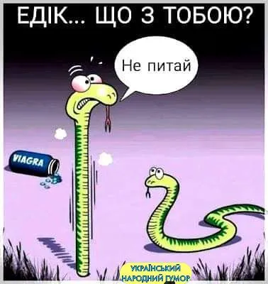 IMG-b0e62b45bdc47a1fc95b12a8d4ecd19e-V.webp