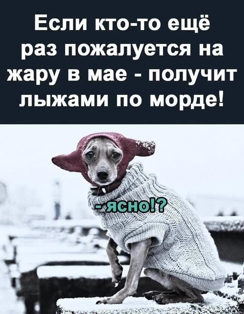 IMG-b1b13ba5d6ce6215f07d6f0edf9d2bb2-V.webp
