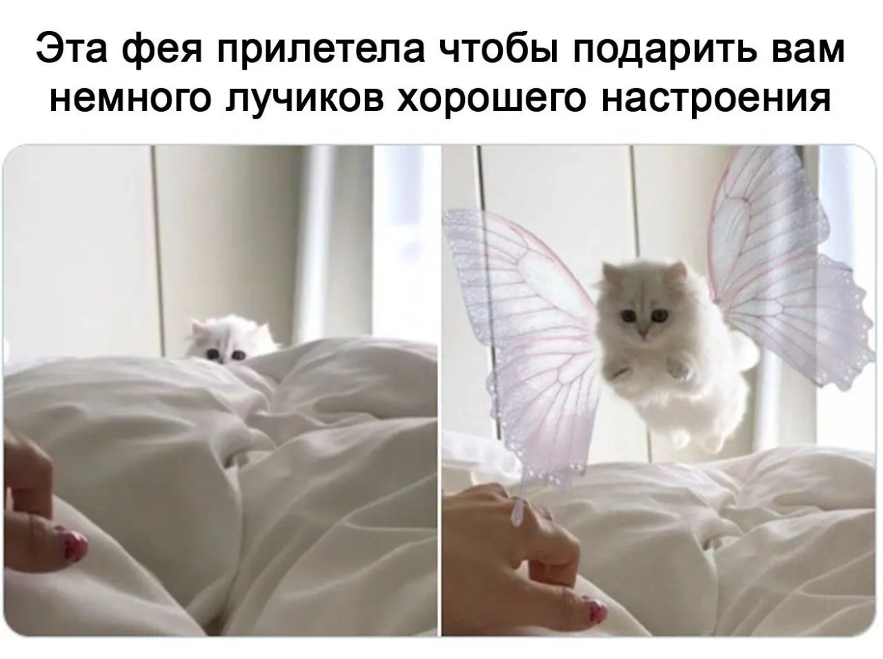 IMG-b1d2cbffcad79e45b8c39aba030908fb-V.webp