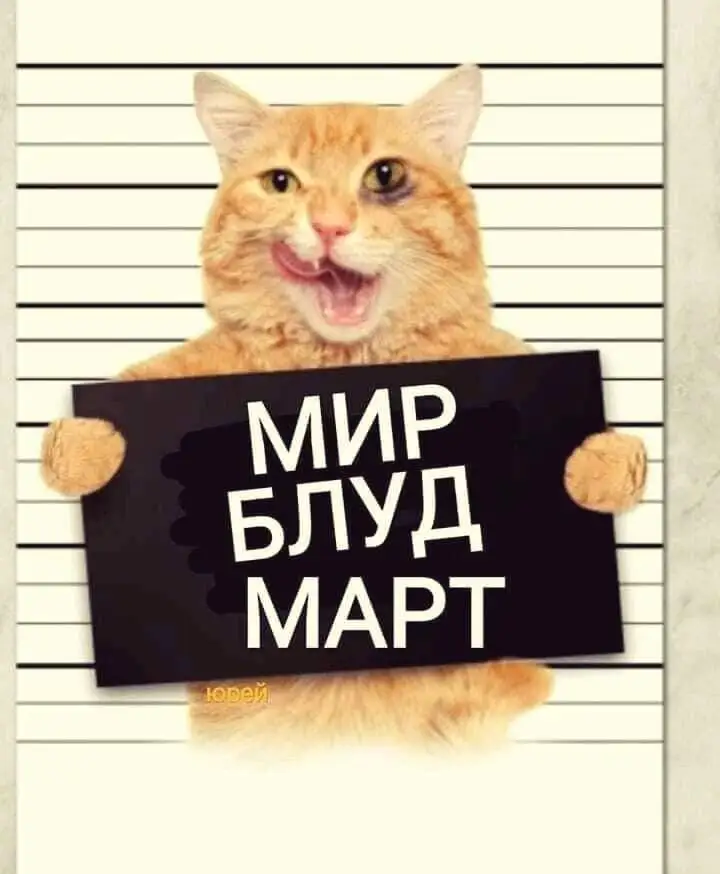 IMG-b1eec060cb902c7ae24d2a884ec899d7-V.webp