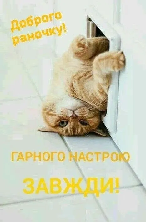 IMG-b227faf6a9bd1296a6583619cdfefd29-V.webp