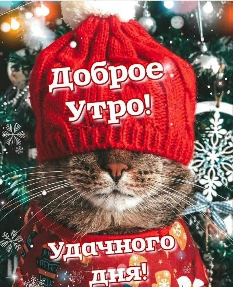 IMG-b24361af1fce9289518e76662bb075ce-V.webp