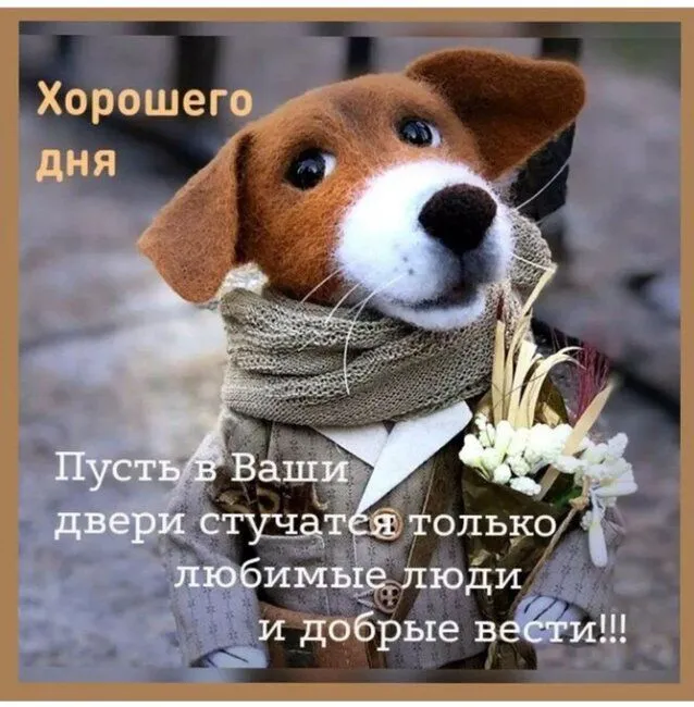 IMG-b26f4cfec56d56d2530e48a44408eedc-V.webp