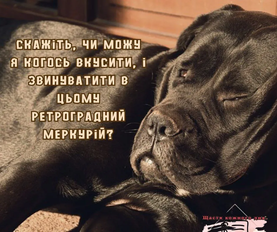 IMG-b28be31bc04ff8da4f9ff4769aa34de3-V.webp