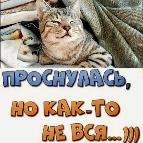 IMG-b2a5a887d0c3b4b80d11da6940c8bf05-V.webp
