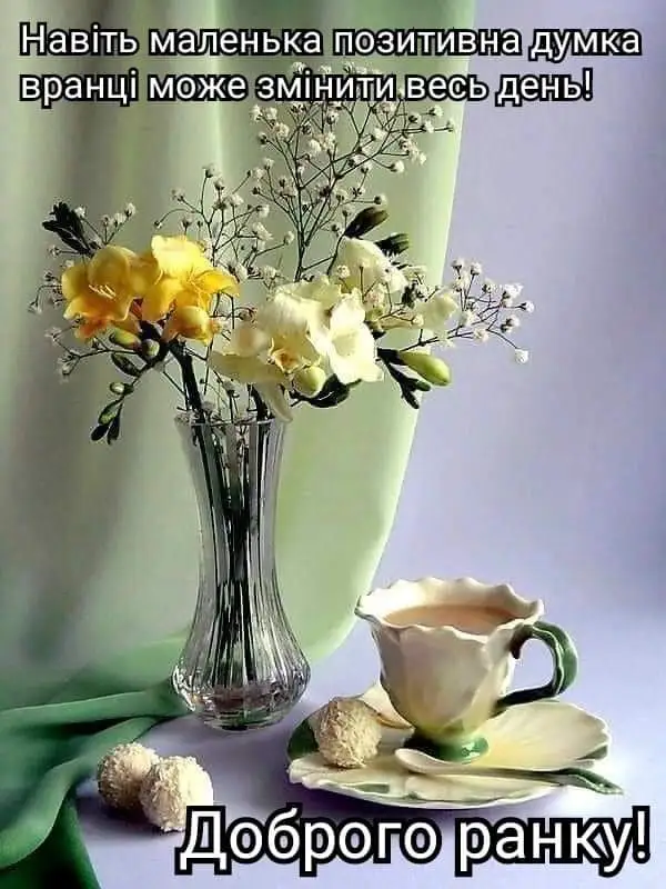 IMG-b2aec6ecbd0b731f19ae4d7e3aa20258-V.webp