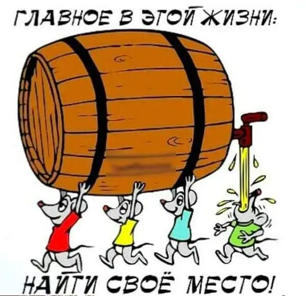 IMG-b2ba6eed28654954aac6435308f27398-V.webp