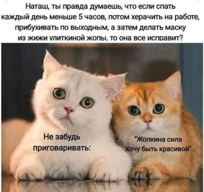 IMG-b2e1078991c07e5e3e15c6c5776188ab-V.webp