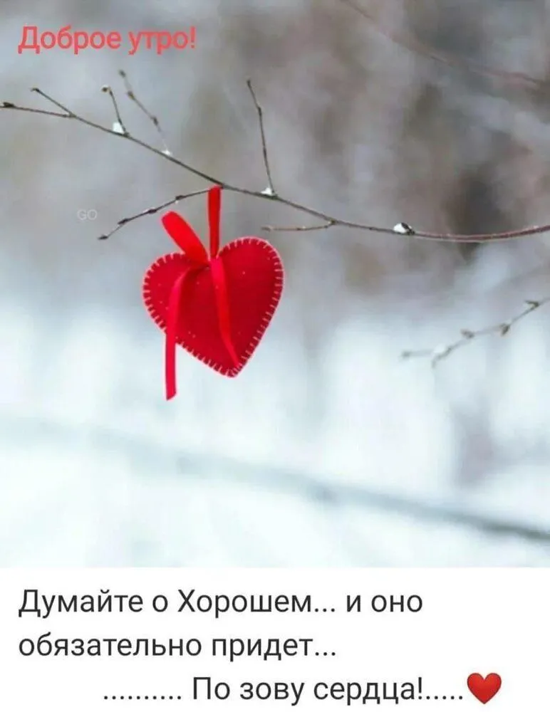 IMG-b31310b048bb0a56ec457e6bfa6e5d52-V.webp
