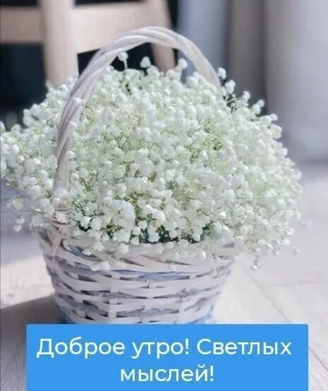 IMG-b3837a143126f2247523040316c839fc-V.webp
