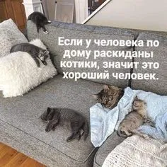 IMG-b4011752464ef5a63d9b63194b06d1d2-V.webp