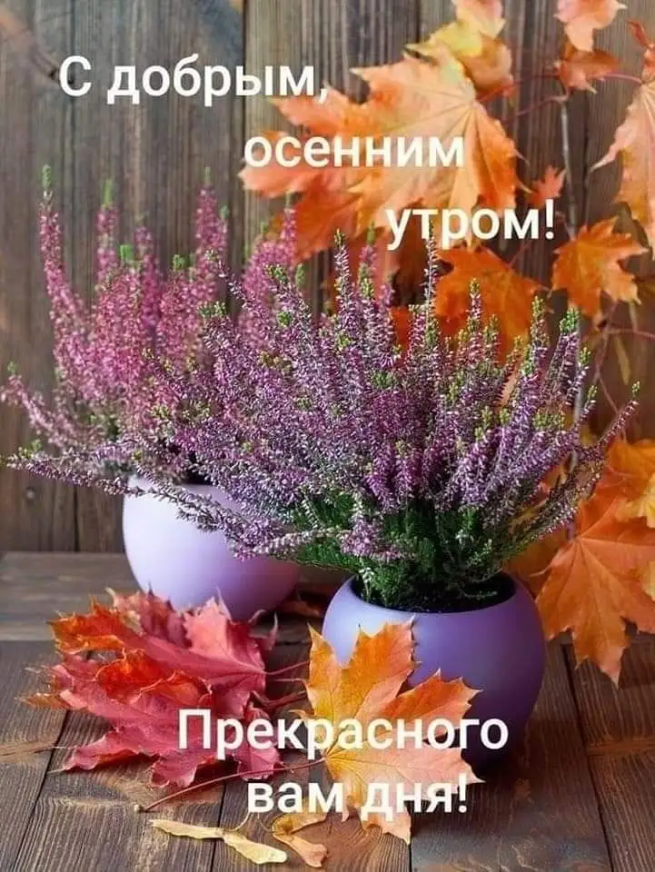 IMG-b404cdaf4521a223c2f0a165514b5b51-V.jpg