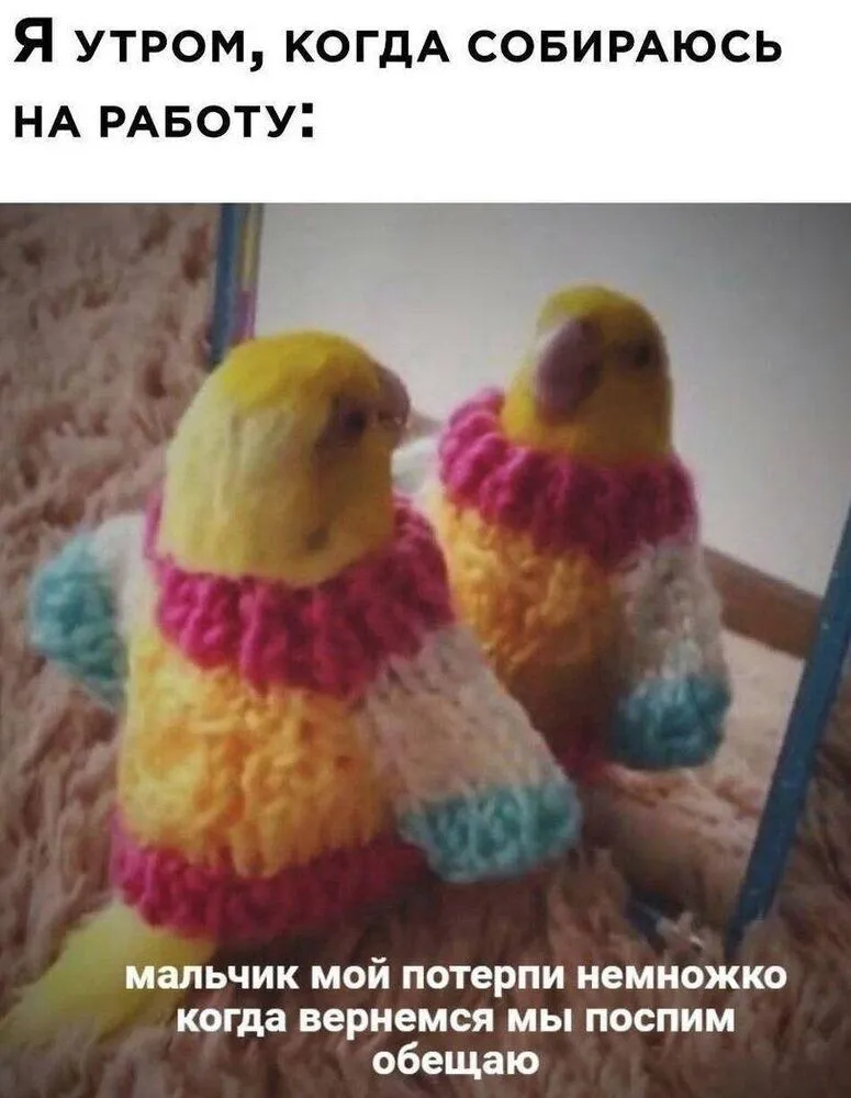 IMG-b41a0a8d245df9c83084ce3159ef3e8f-V.webp
