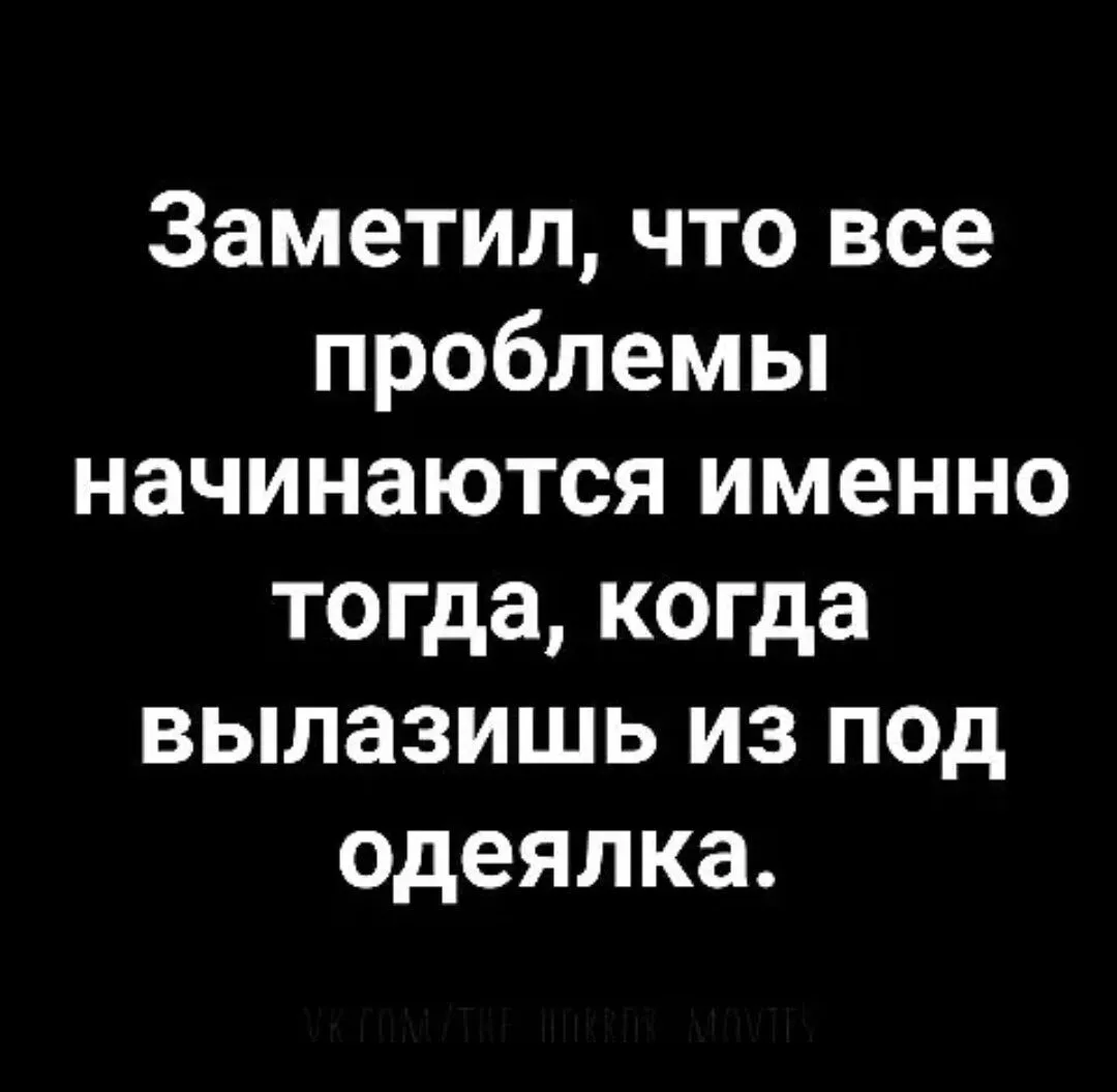 IMG-b4a268a6cc459468c35d77935619fb11-V.webp