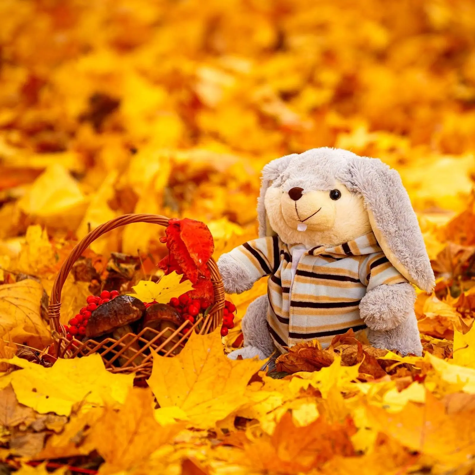 IMG-b4ab758be970ebfb606f334f7cc9ce0b-V.webp