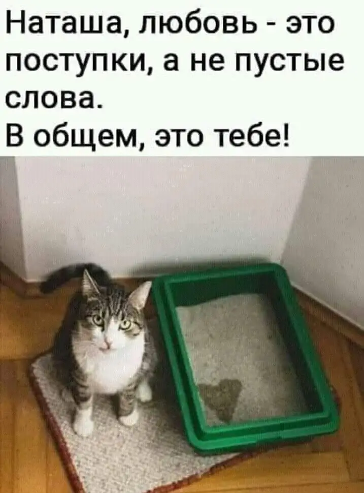 IMG-b4f57bac0a9a035b69433eabafe00587-V.webp