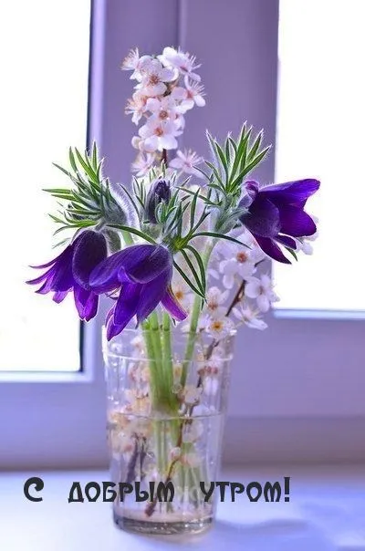 IMG-b53ee91b257ea01c338ab05f18524b91-V.webp