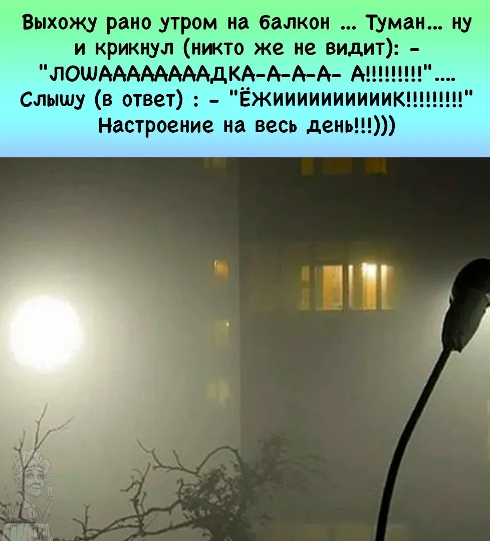 IMG-b5d592b32075cc05e5b346a89e773593-V.webp