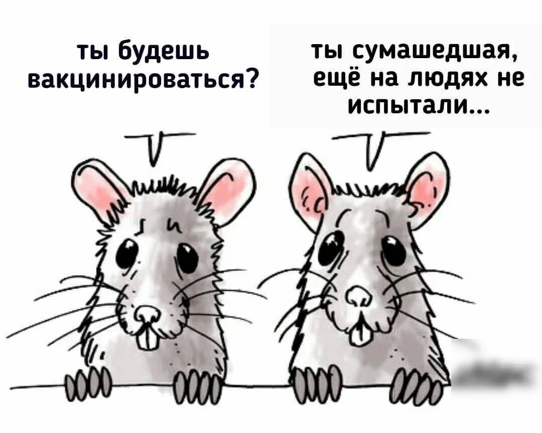 IMG-b7d0a3e9b45cf23ddb6cd95107232151-V.webp