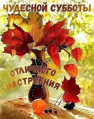 IMG-b87d3974e1d3254ed76ddeb01d7fc5b8-V.webp
