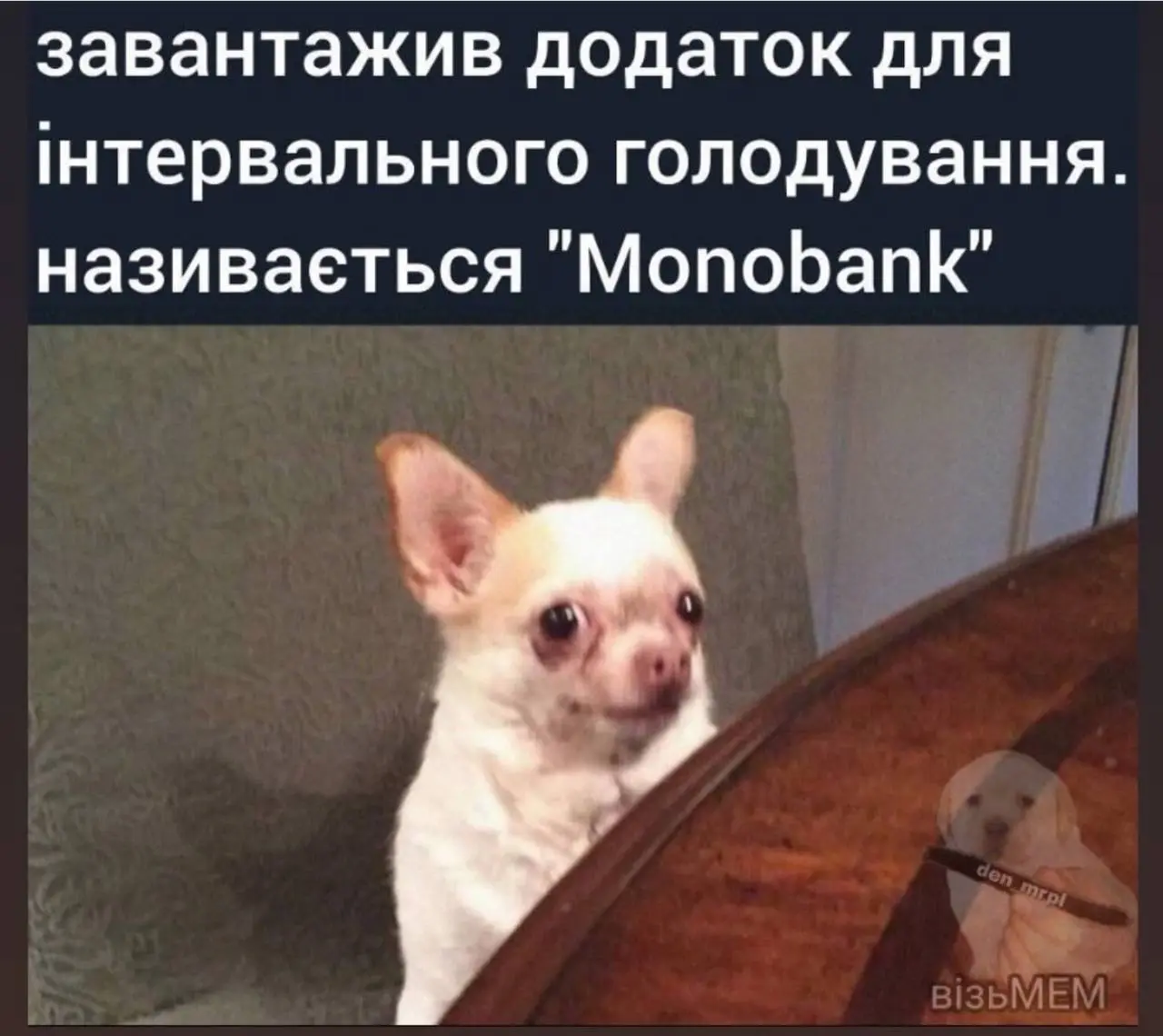 IMG-b8bc2806a6be7fad5adddf814ef5720a-V.webp