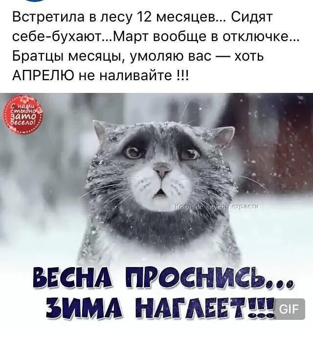 IMG-b950c9d8ebbdd56dd01243f8dda1dea7-V.webp