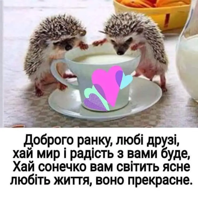 IMG-b96166737b8147489714fb16f0dcfaee-V.webp