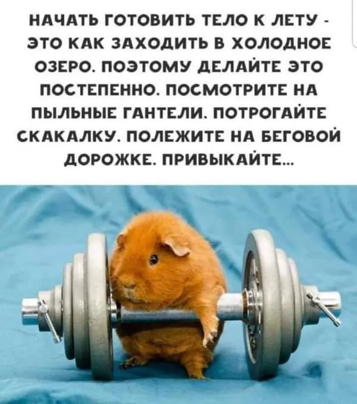 IMG-ba9bb5c0dc3c8759e63528f633c65175-V.webp