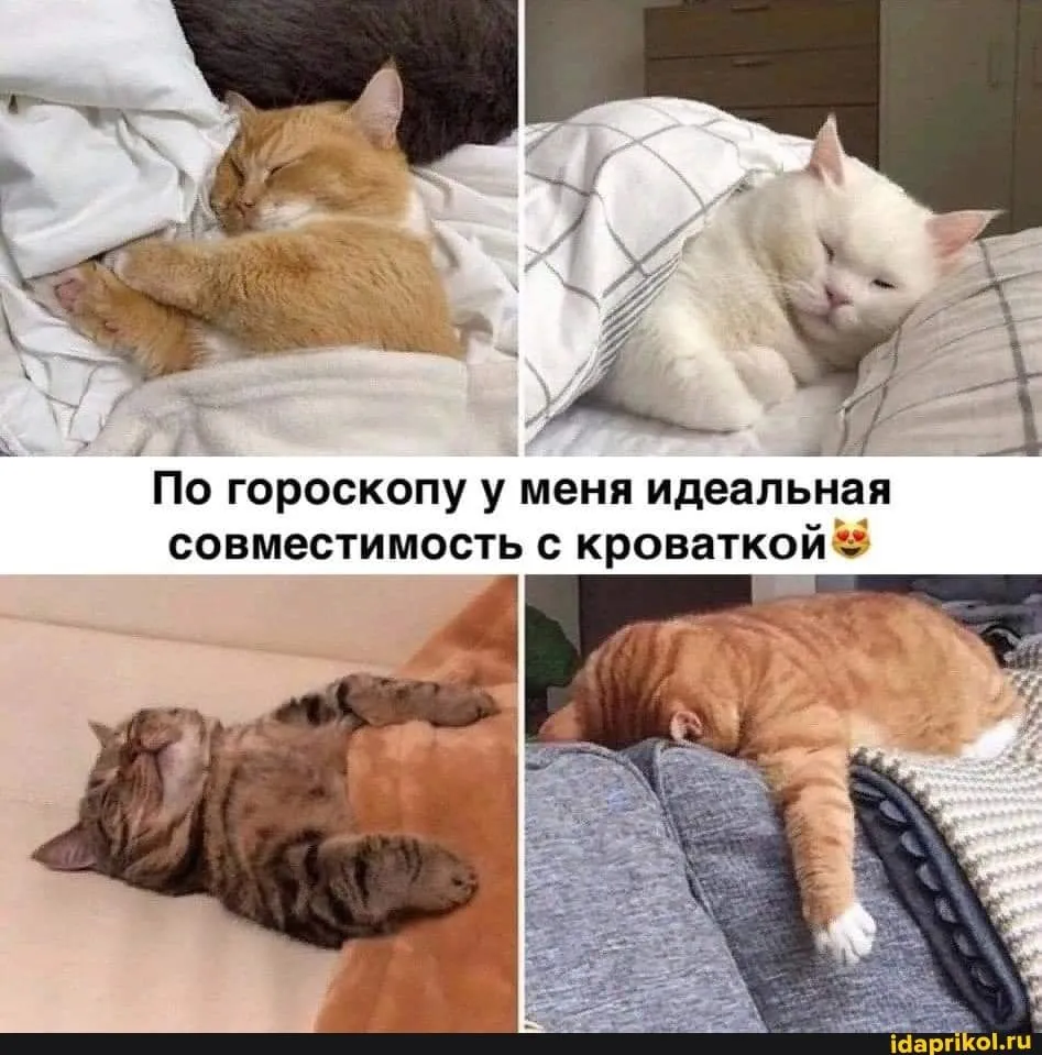 IMG-bb27e53211395375c7fcb1d90b827cf1-V.webp