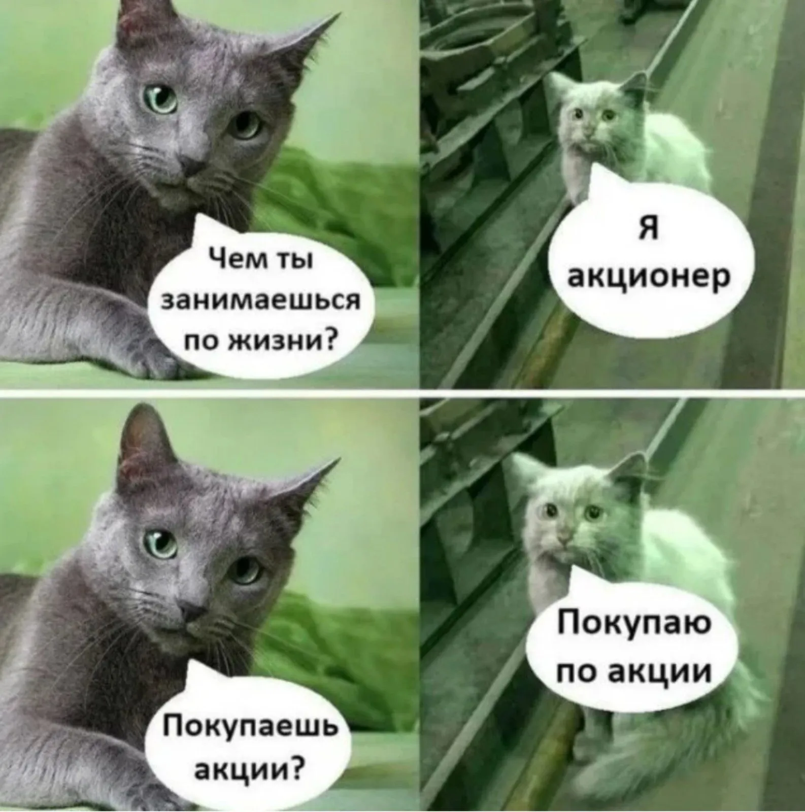 IMG-bbc855d838280f433fbb0d5b016c2f2e-V.webp