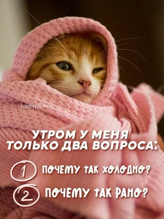 IMG-bbf670db1b48b661531af001847e76cb-V.webp