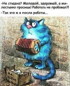 IMG-bd05276ee47fec4a611e48f70bddaea4-V.webp