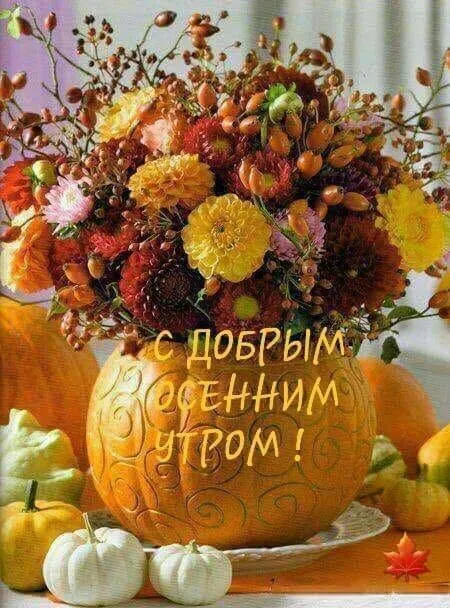 IMG-bd5a95e715ef89e7bf31e12c3f04b8d6-V.webp