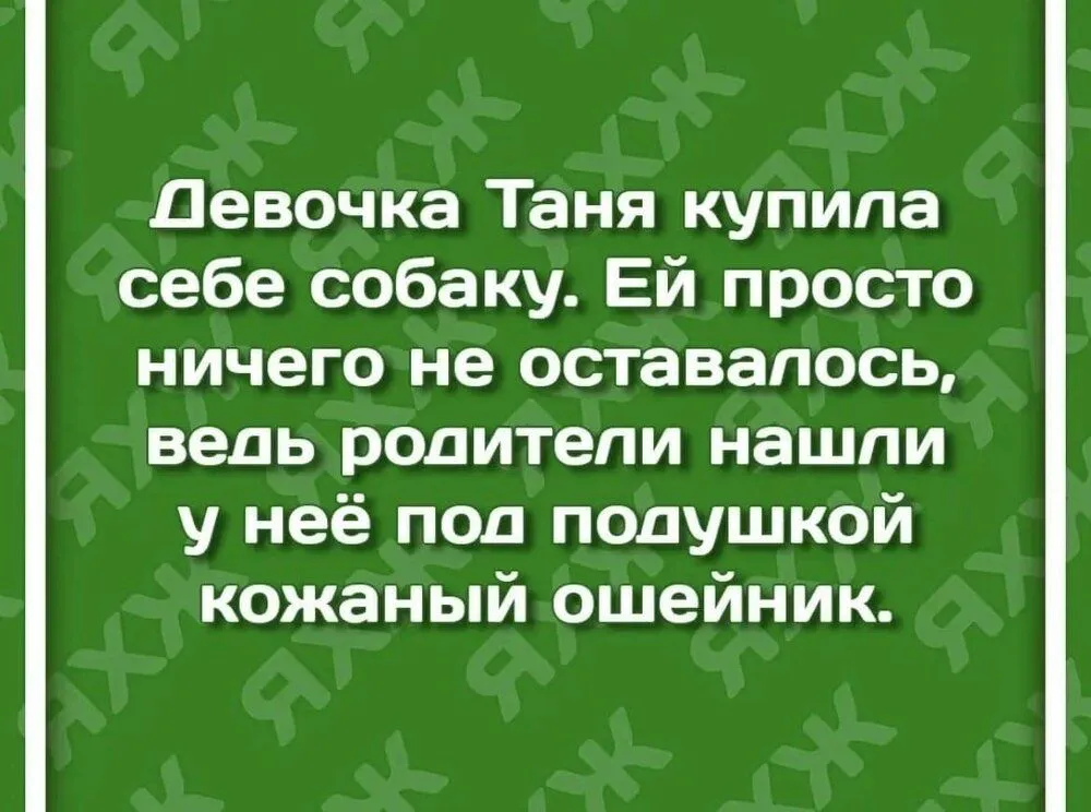 IMG-bd6c1fc9da68776f79a31d631e1f5b52-V.webp