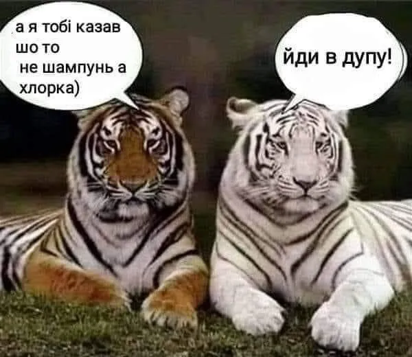 IMG-bd7eb86e1b80ebdcba284642df48d3d7-V.webp