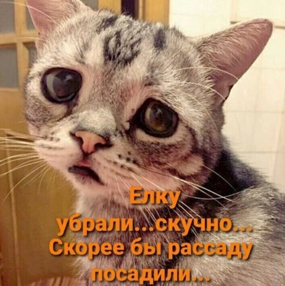 IMG-bdcf4a45bbb2612d3a5d004e2a2c215d-V.webp