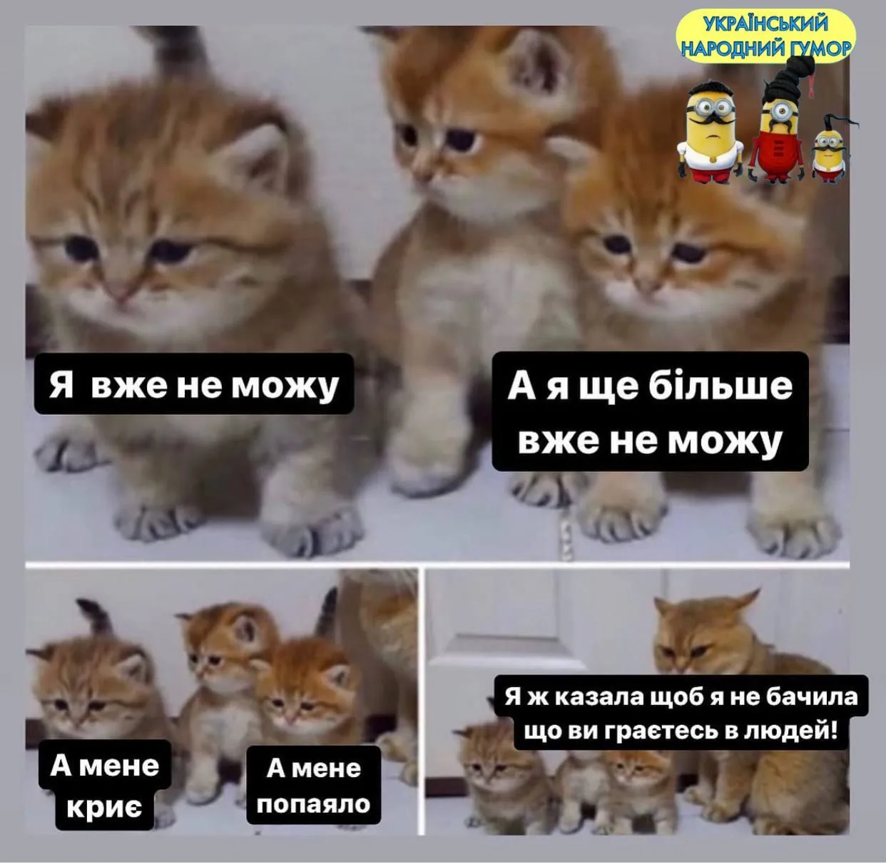 IMG-bf5e99b0ab5758244b6bde79a2072592-V.webp