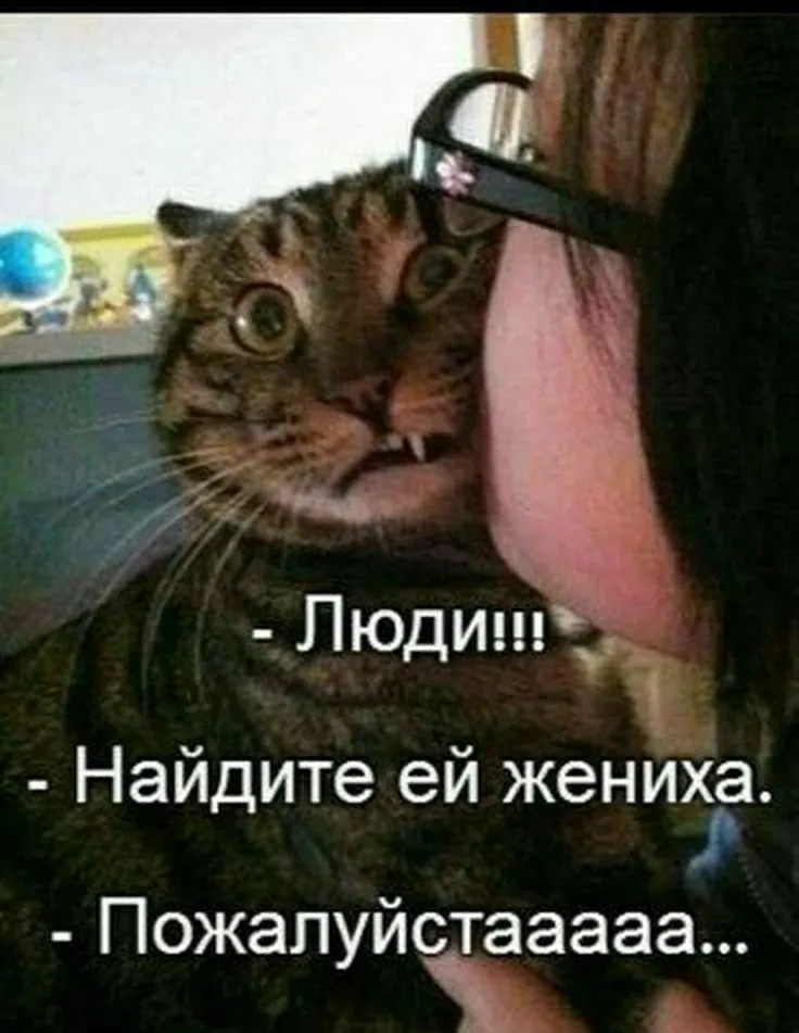 IMG-bfe8c803662db58c3aef94f821354da8-V.webp
