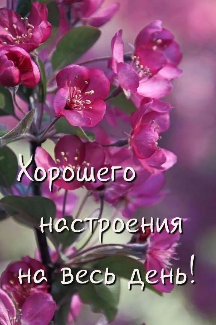 IMG-c00fe56a46693d7a066513a1c8a1f09d-V.webp