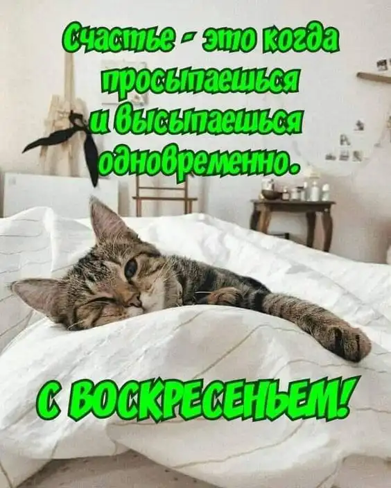 IMG-c06ac26ea3fa596f3b0bd792730b1e81-V.webp