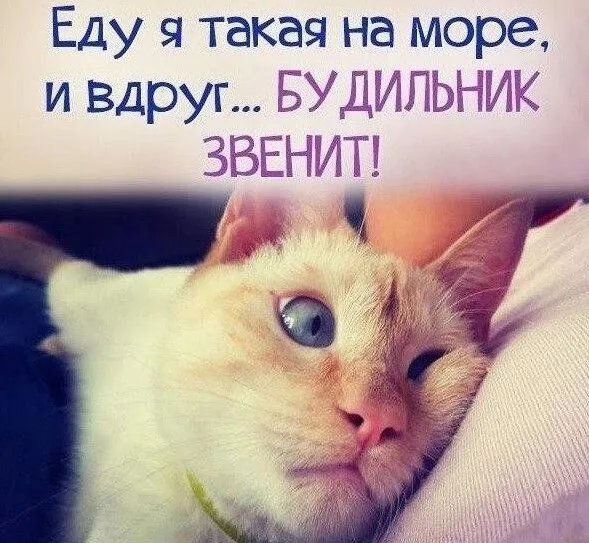 IMG-c0a7dac4697bca7fcb7bc4b621086c75-V.webp